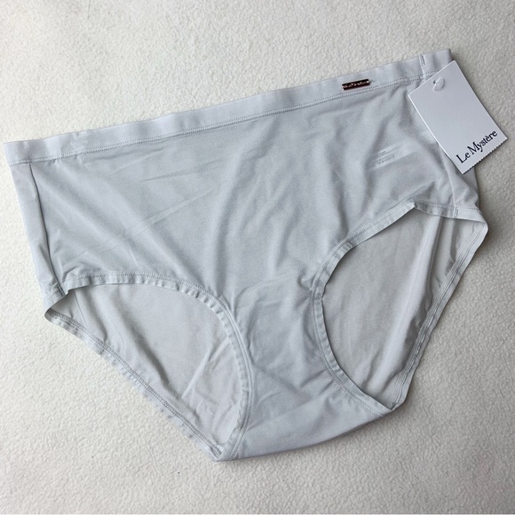 NWT New Le Mystere Light Gray Infinite Comfort Brief Panties in Quartz - Picture 2 of 4